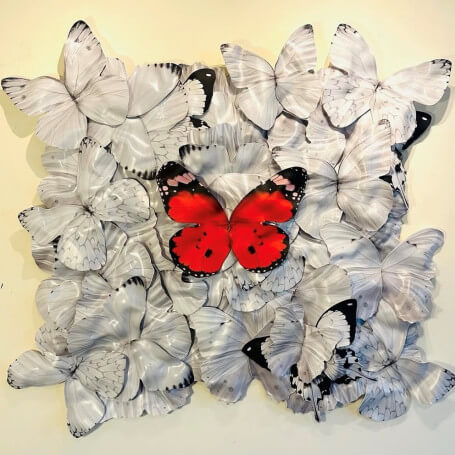 floydbutterfly