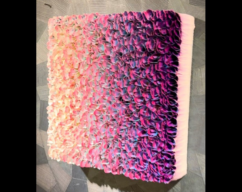 zhuang50x502 800x635