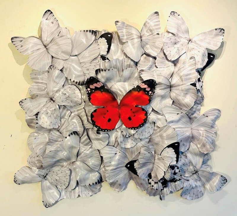 floydbutterfly