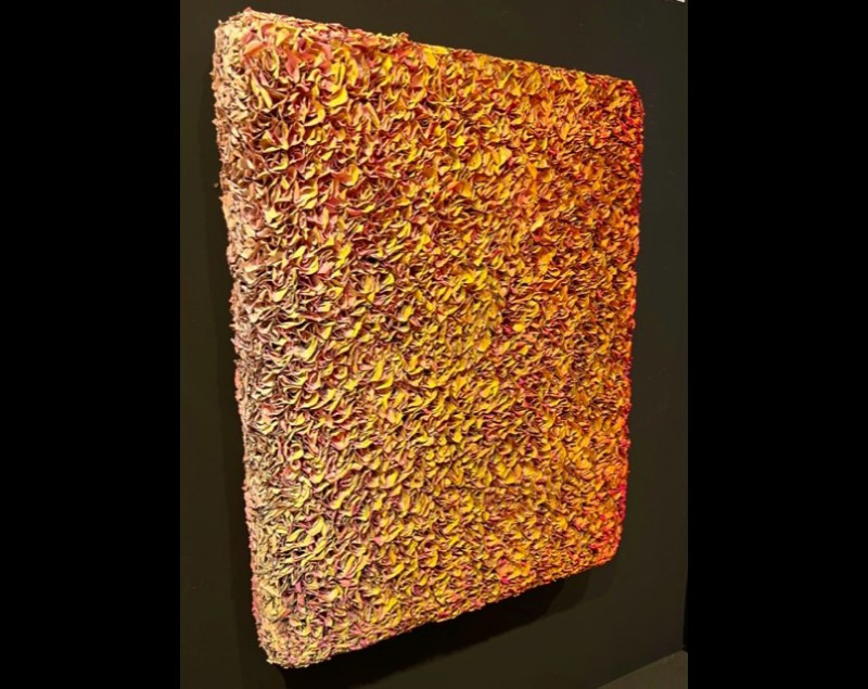 zhuang 90x70 flowerbed 2011 800x635