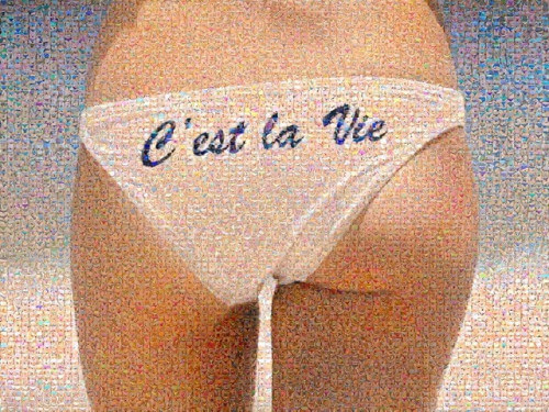 moenscestlavie