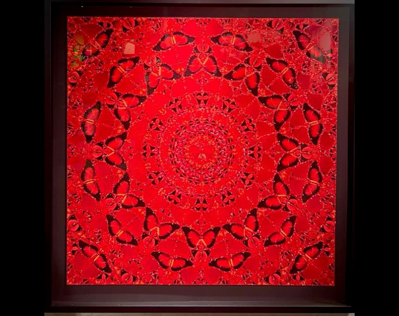 hirst suiko 800x635