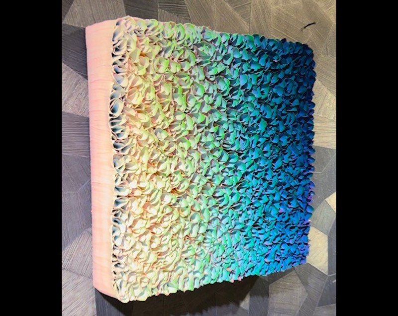 zhuang50x50 800x635
