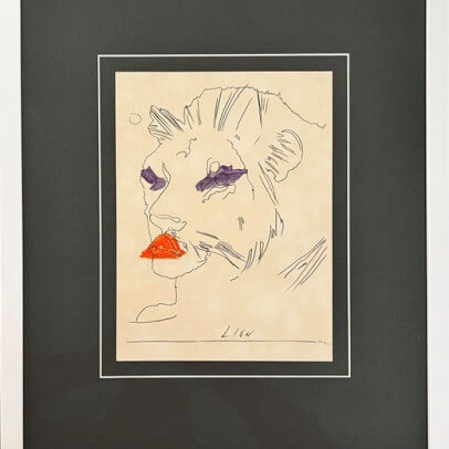 warhollion