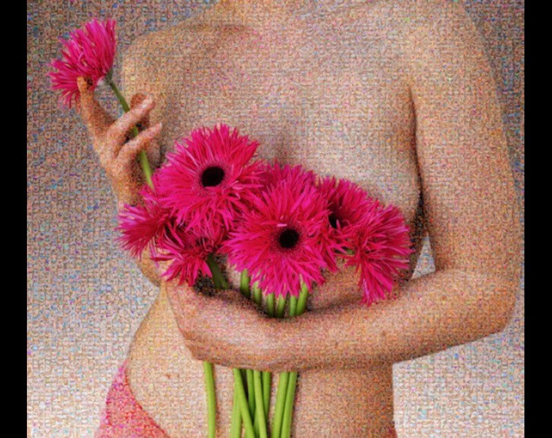 moensmaprfrence 800x635
