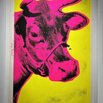 warholcowingelijst
